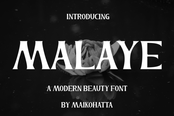 Malaye Font: Bold Display Type for Digital Campaigns